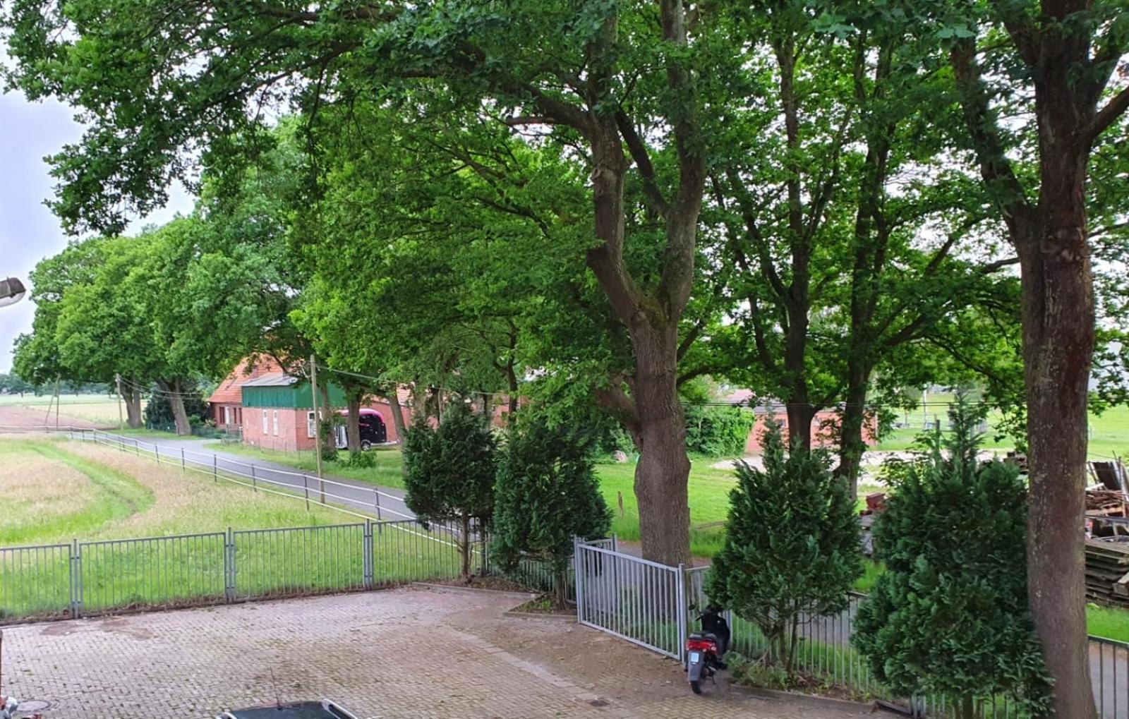 Grosse Loft In Idyllischer Lage Ντέλμενχορστ Εξωτερικό φωτογραφία